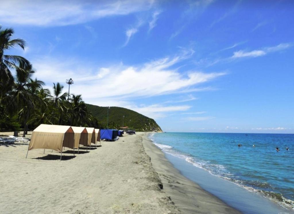 Encantador Salguero Santa Marta (Magdalena)